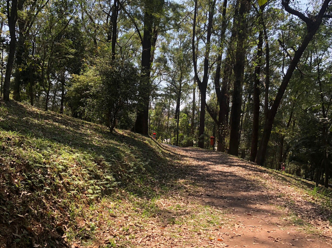 Chácara Silvestre-圣贝尔纳多-杜坎普必去景点