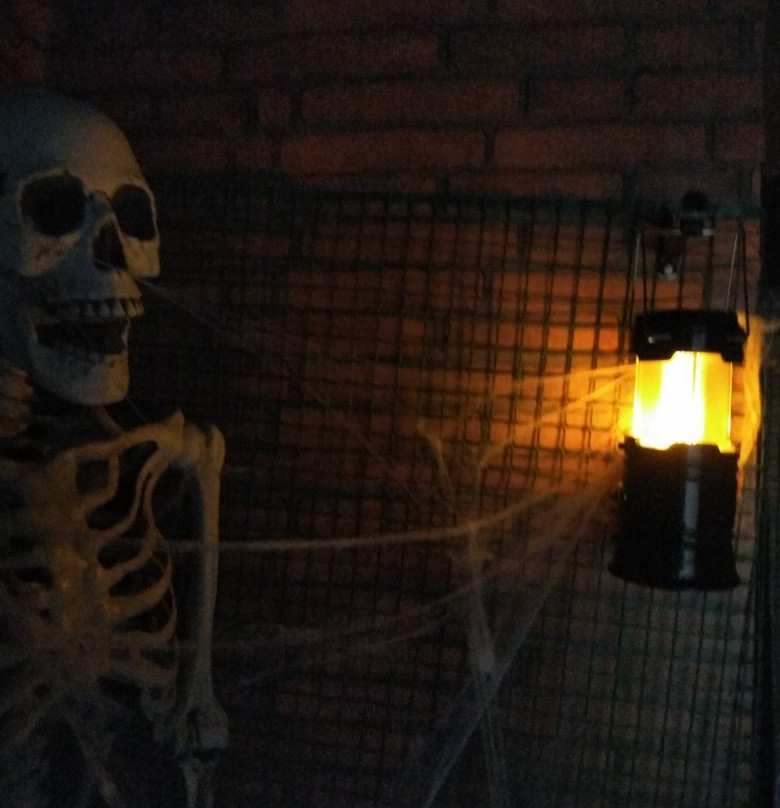 Enigmatic-Haifa必去景点