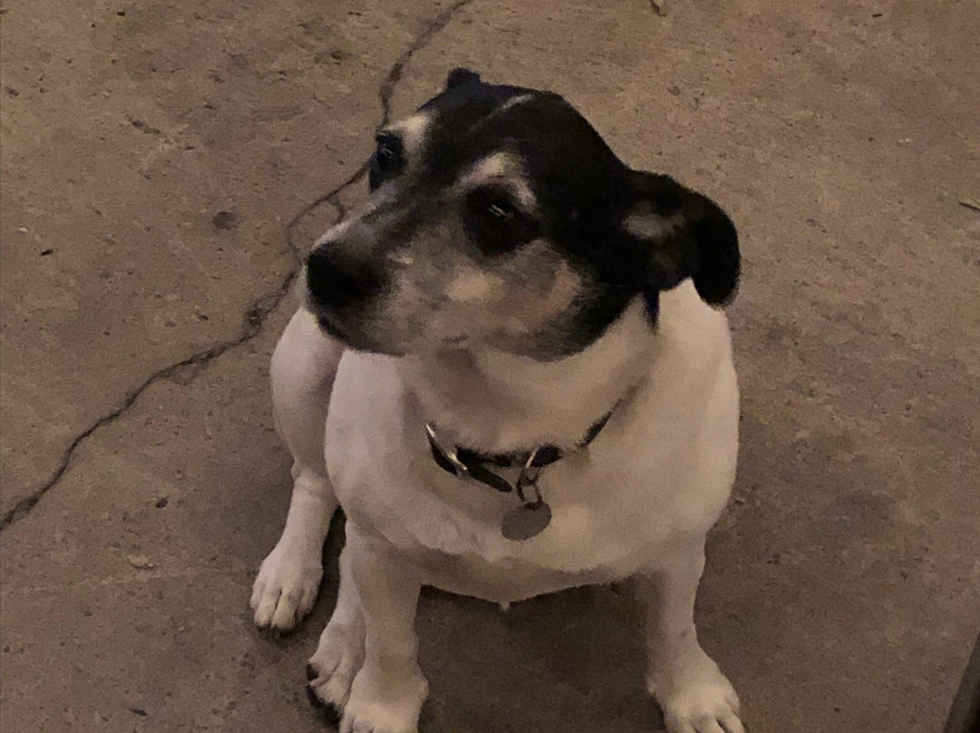 Helix Brewing Co.-拉米萨必去景点