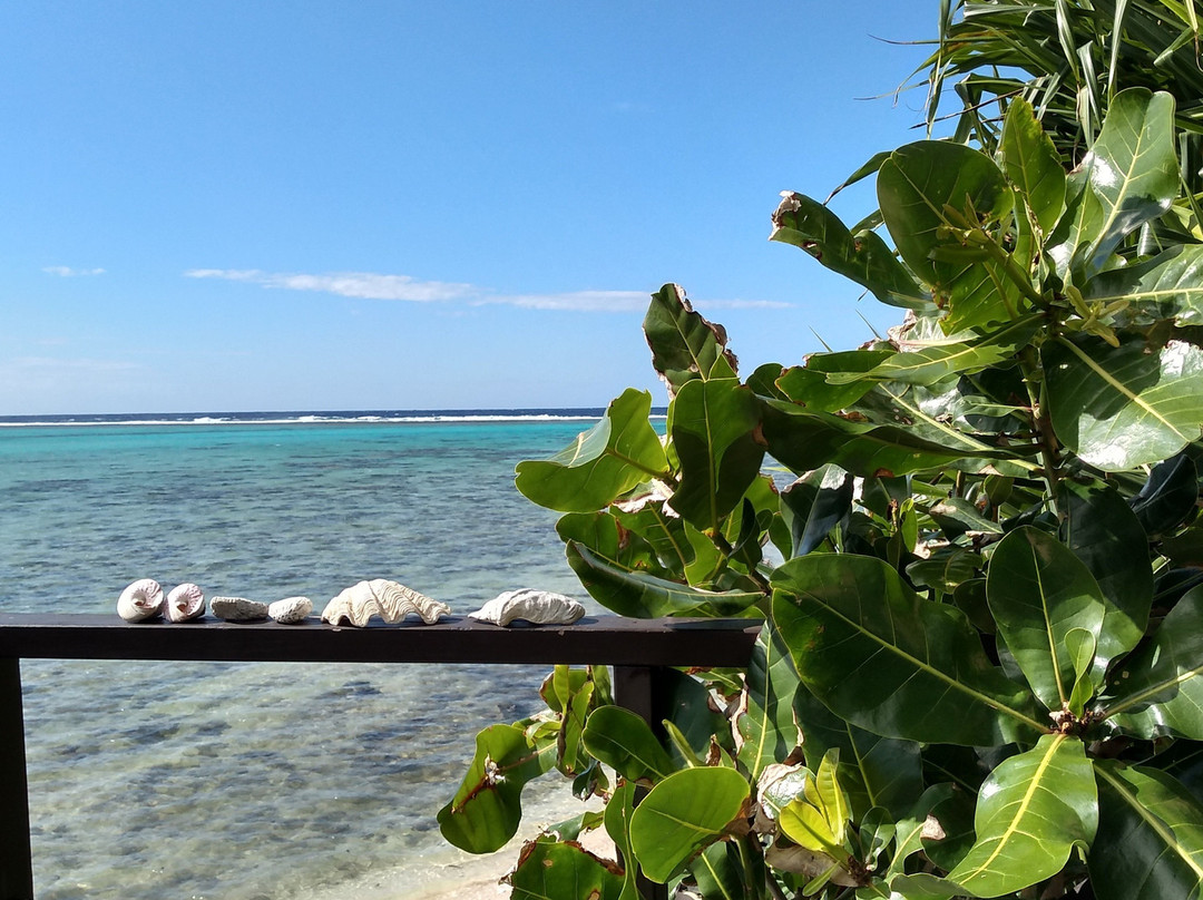 Muri Beach Cottages主图