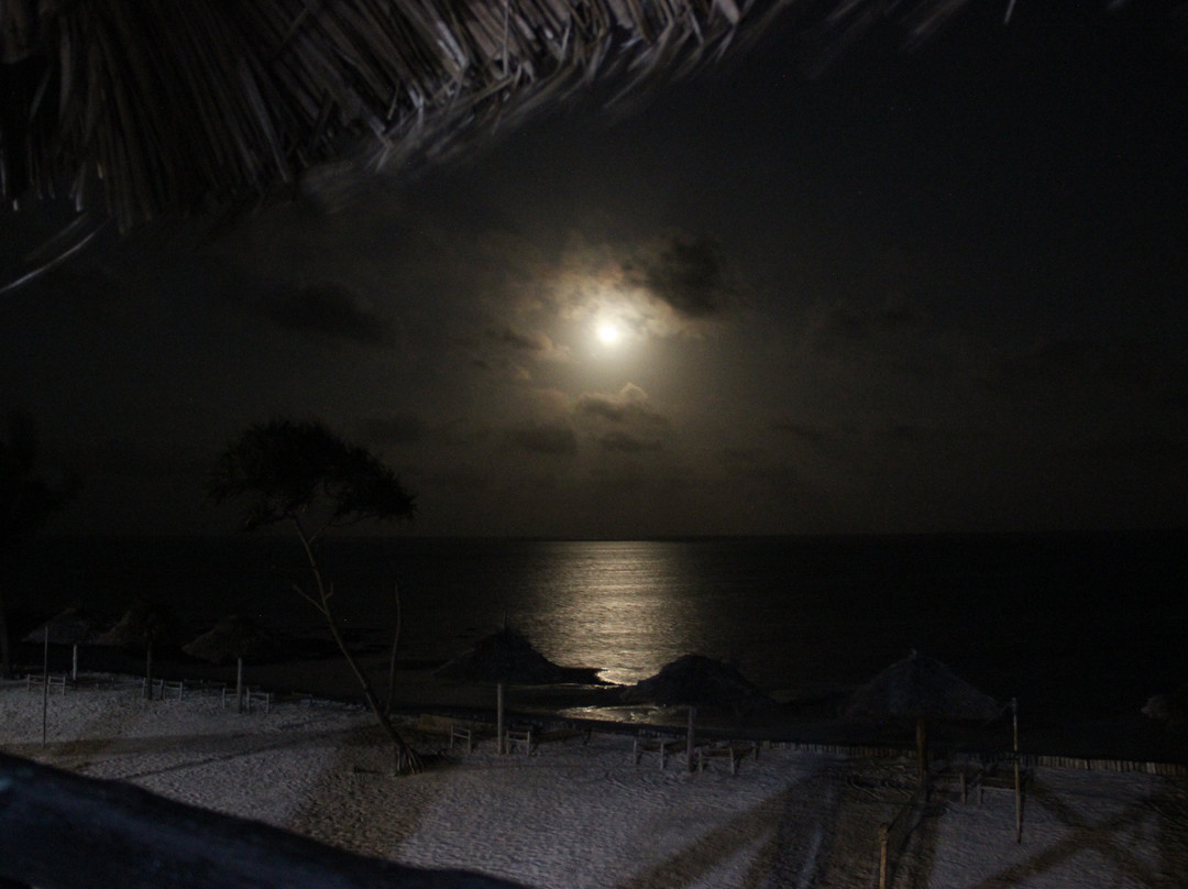 Nest Style Beach Hotel Zanzibar主图