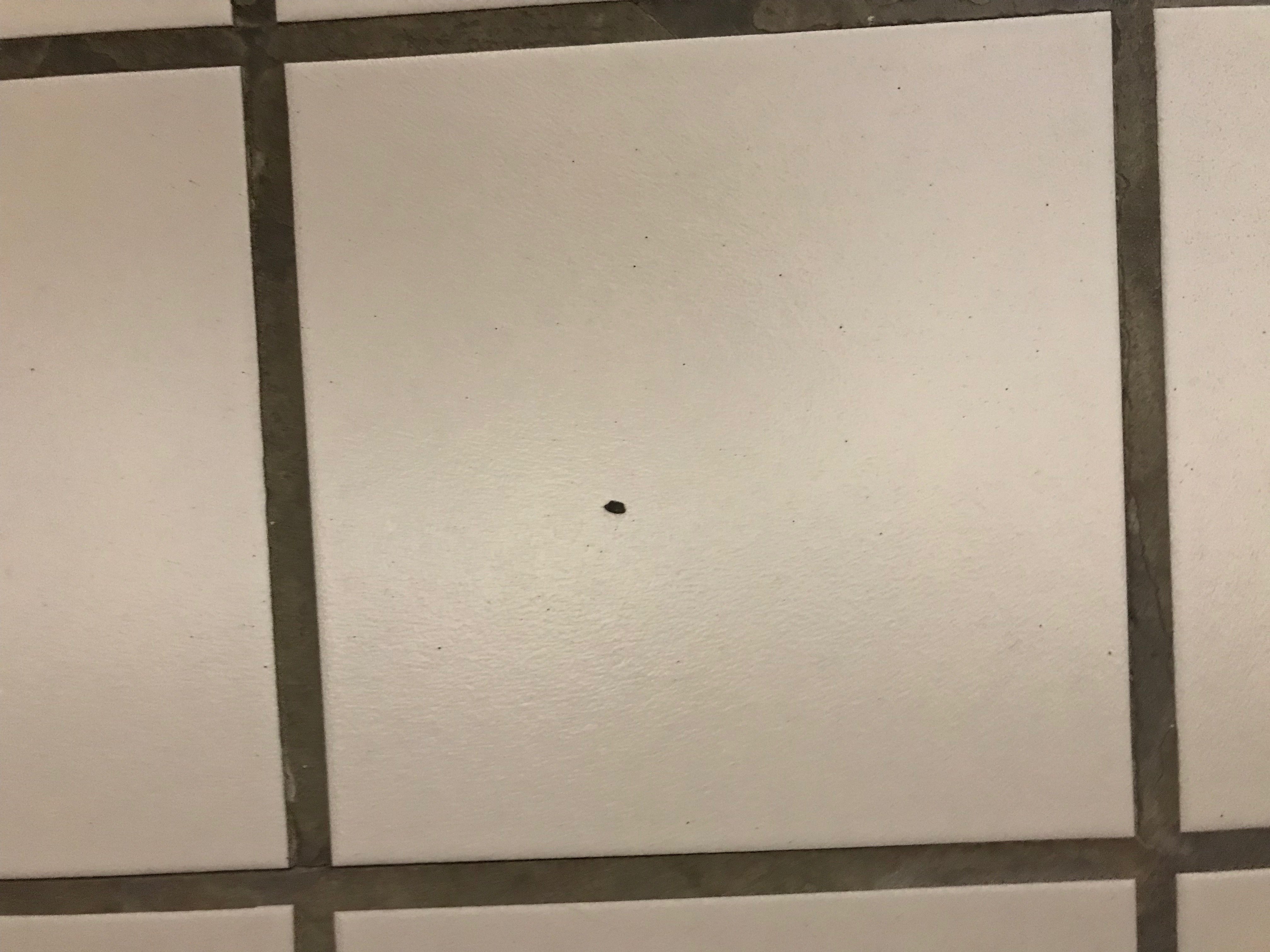 Baymont by Wyndham Plainfield/ Indianapolis Arpt Area-浴室