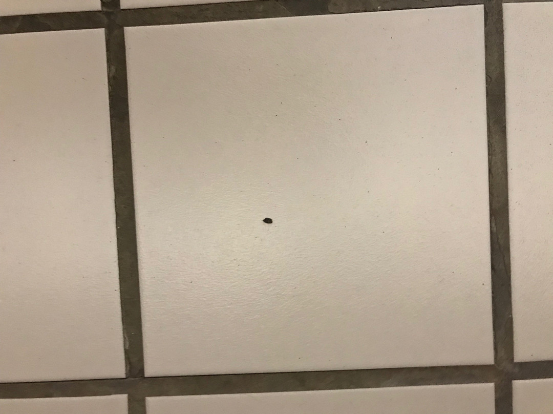 Baymont by Wyndham Plainfield/ Indianapolis Arpt Area主图