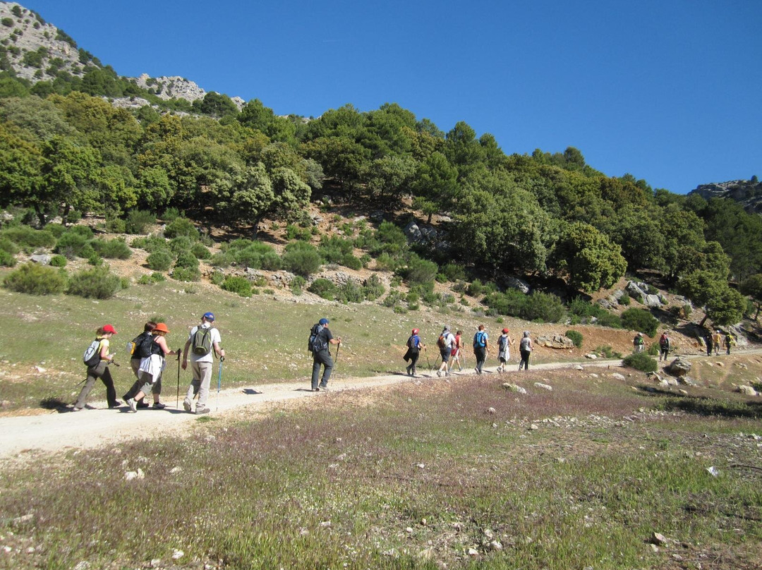 Sendero Cerro del Buitre景点图片