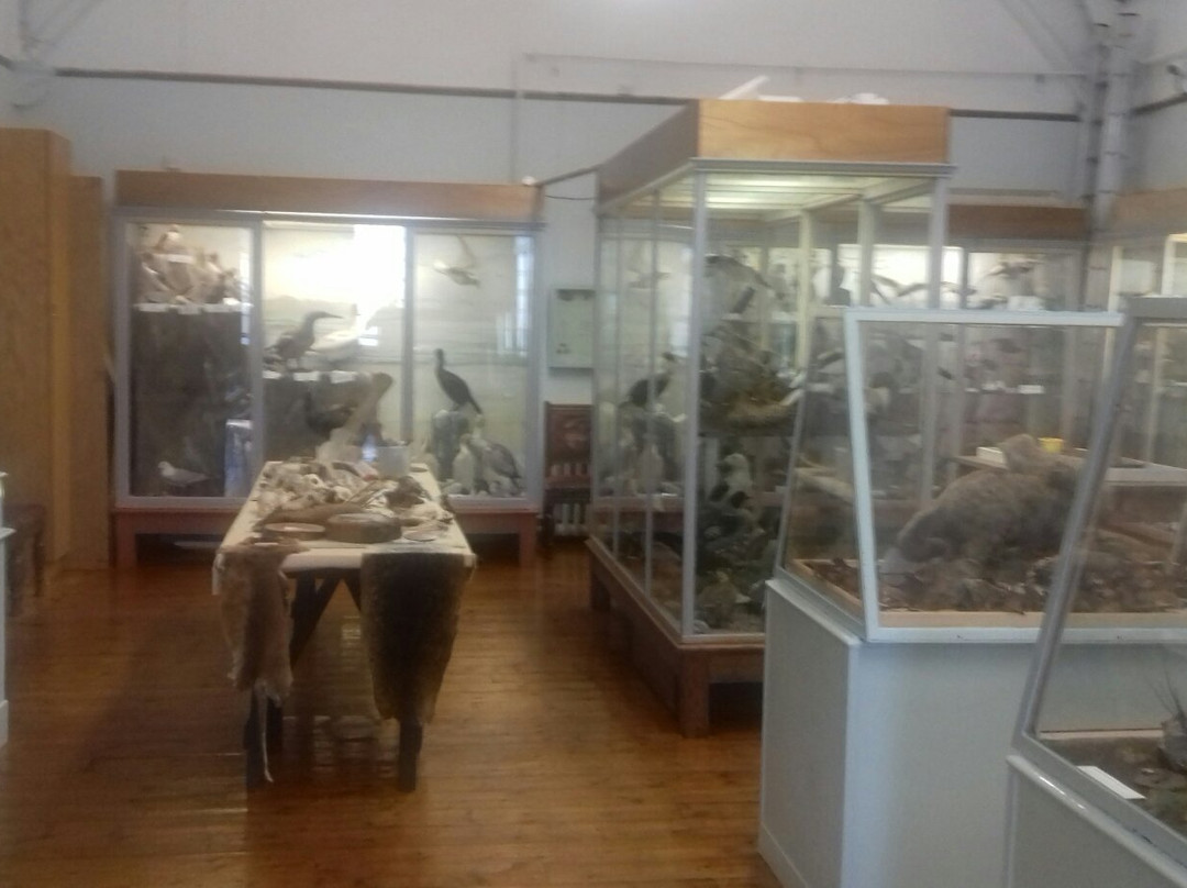 Bute Museum-Rothesay必去景点