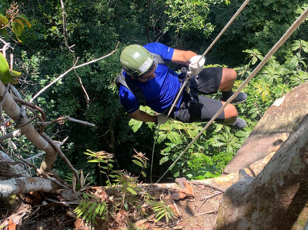 Cachoeira Salto do Ipy-Presidente Figueiredo必去景点