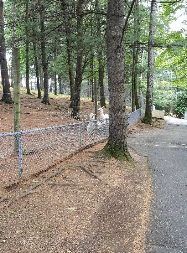 Adirondack Animal Land景点图片