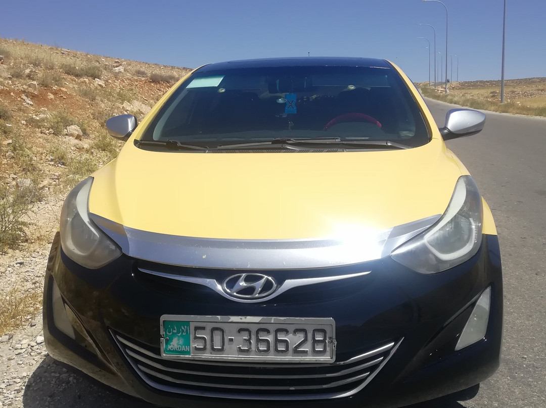 B&b Petra Fig Tree Villa主图