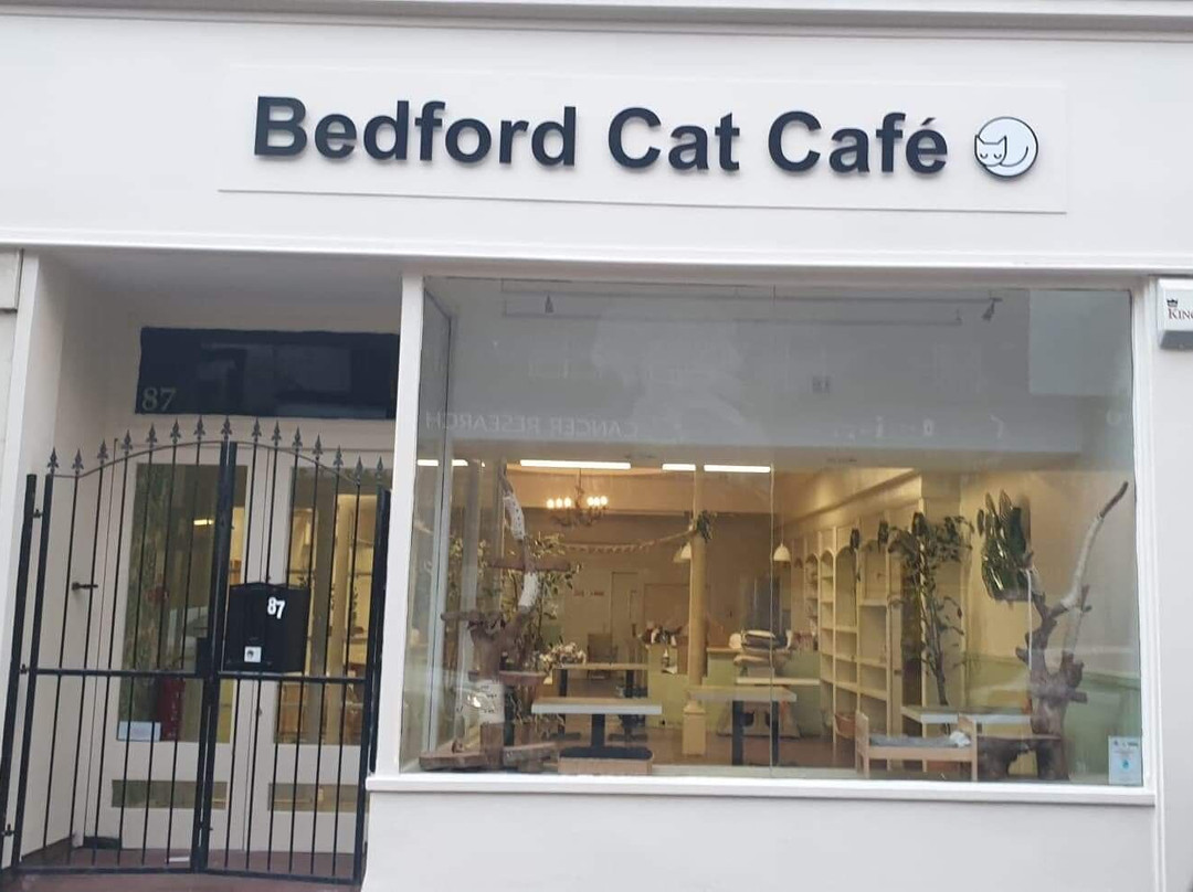 Bedford Cat Cafe景点图片