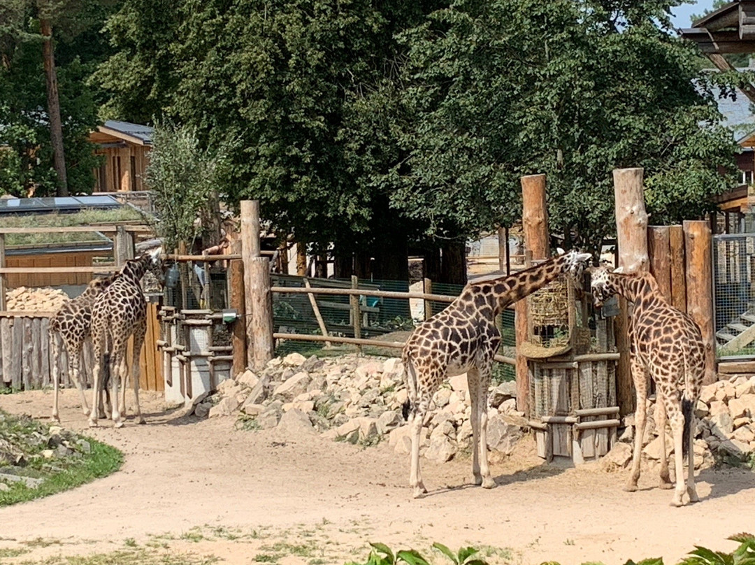 Riga Zoo景点图片