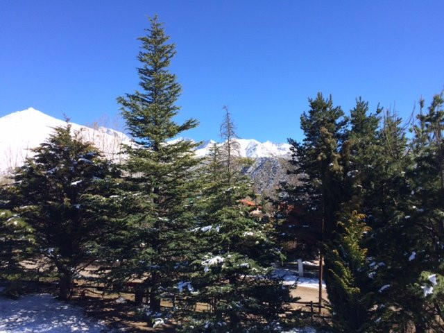 Silver Cord B&B主图