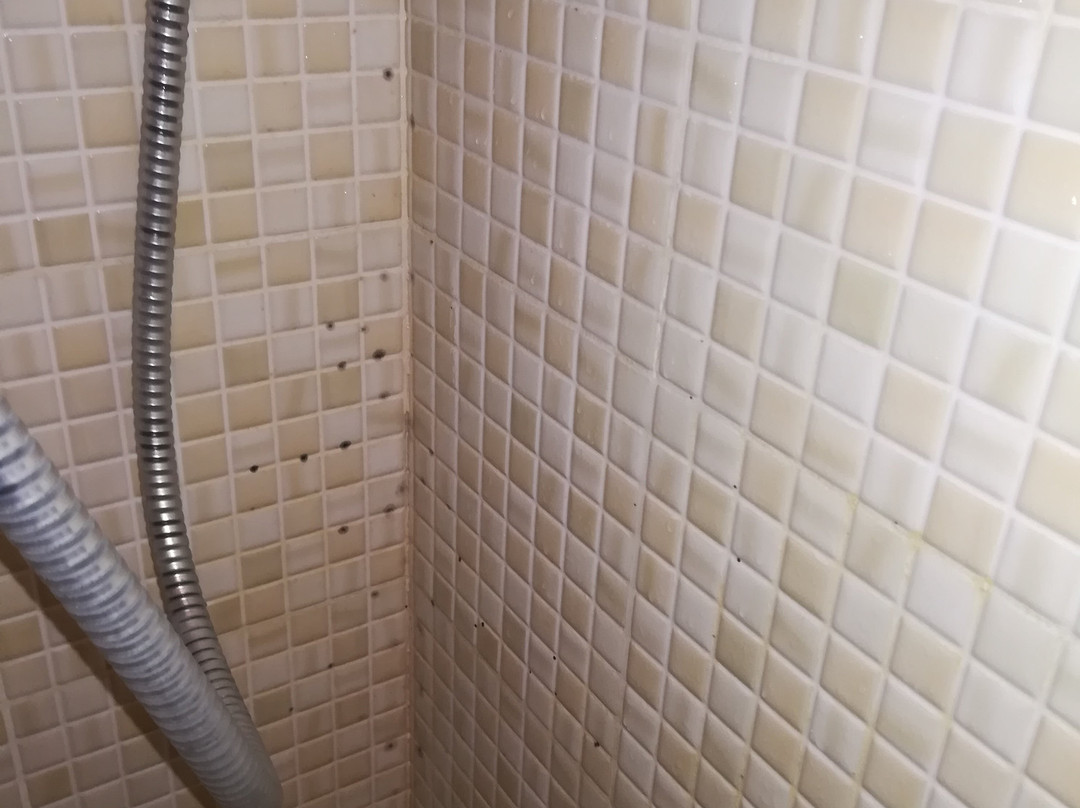 Albergo Altamira主图