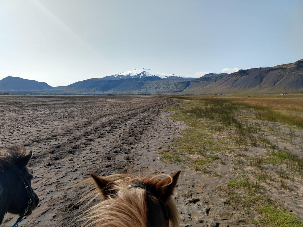 Stori Kambur Horse Rental-Snaefellsbaer必去景点