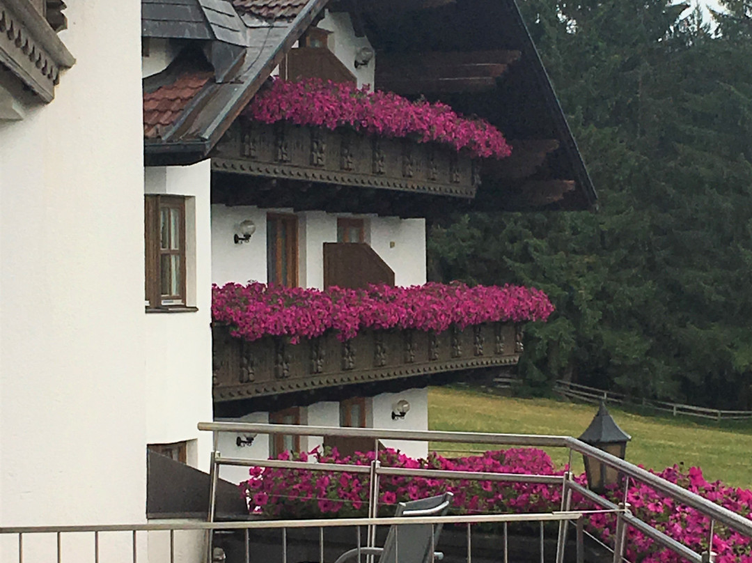 Alpenhotel Linserhof主图