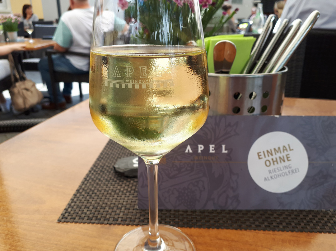 Weingut und Gastehaus Apel主图