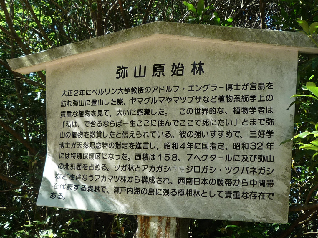 彌山原始林-廿日市市必去景点