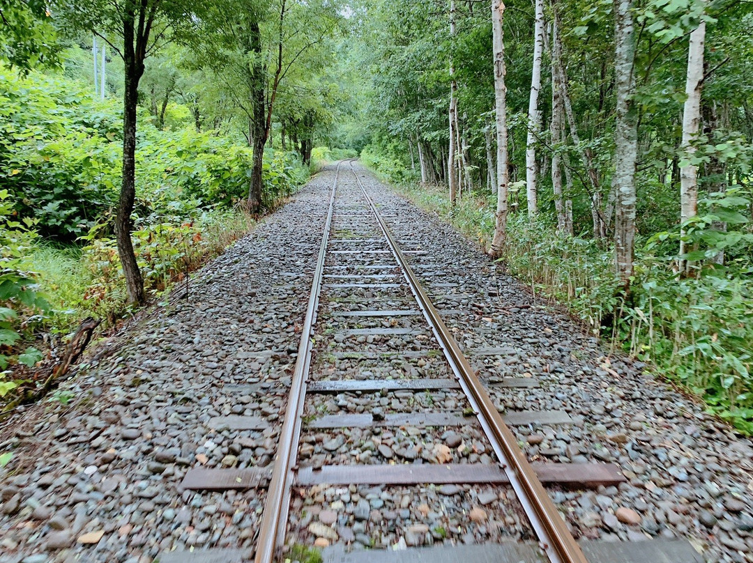Torokko Okoku Bibuka-美深町必去景点
