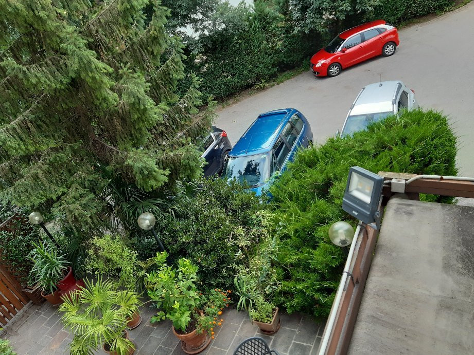 Pension Martha主图