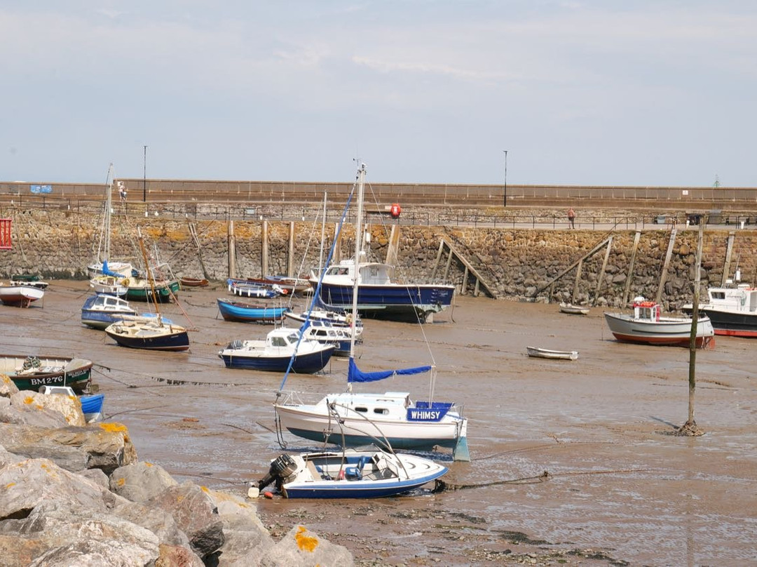 South West Coast Path - Culver Cliff Woodland Walk景点图片