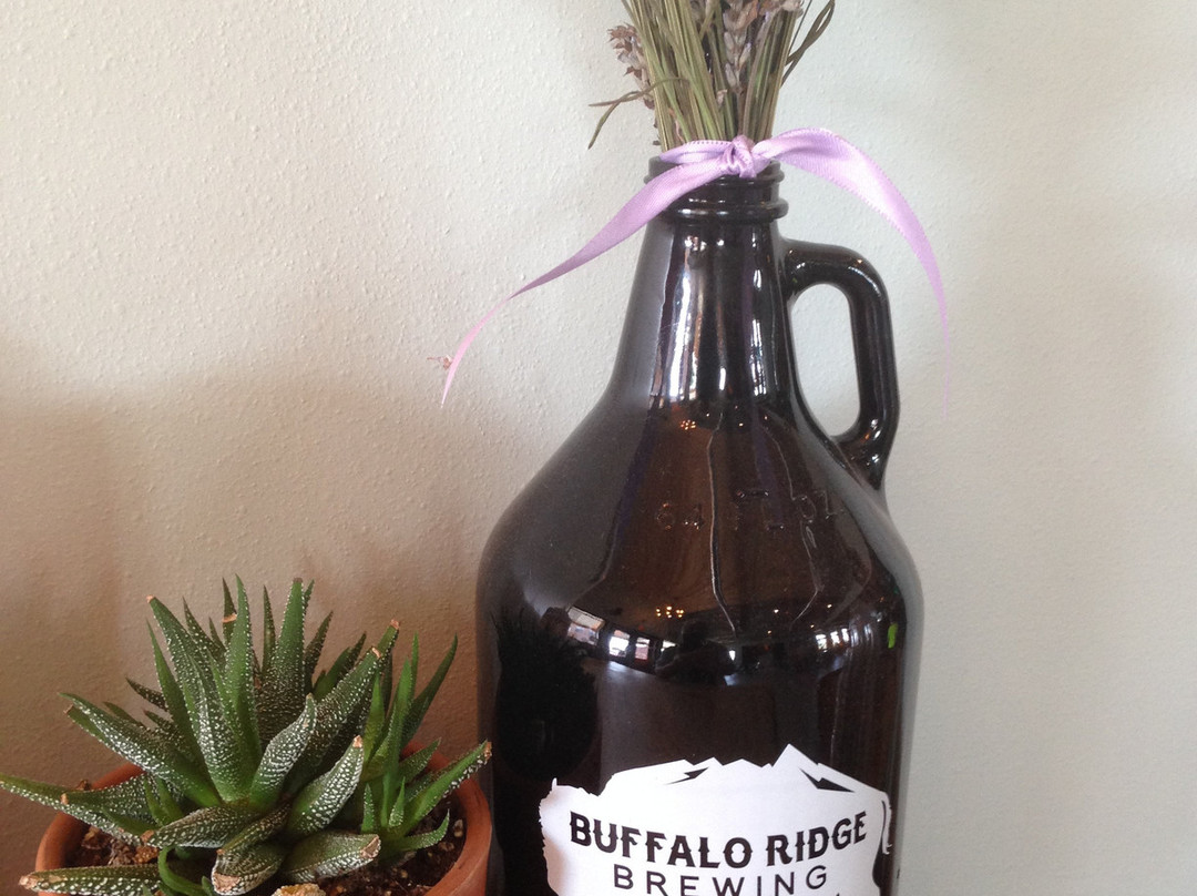 Buffalo Ridge Brewing-Hartford必去景点