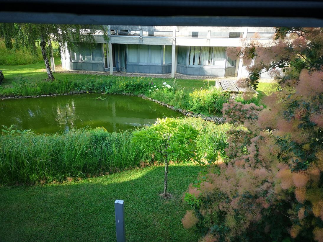 Egrove Park-酒店景观