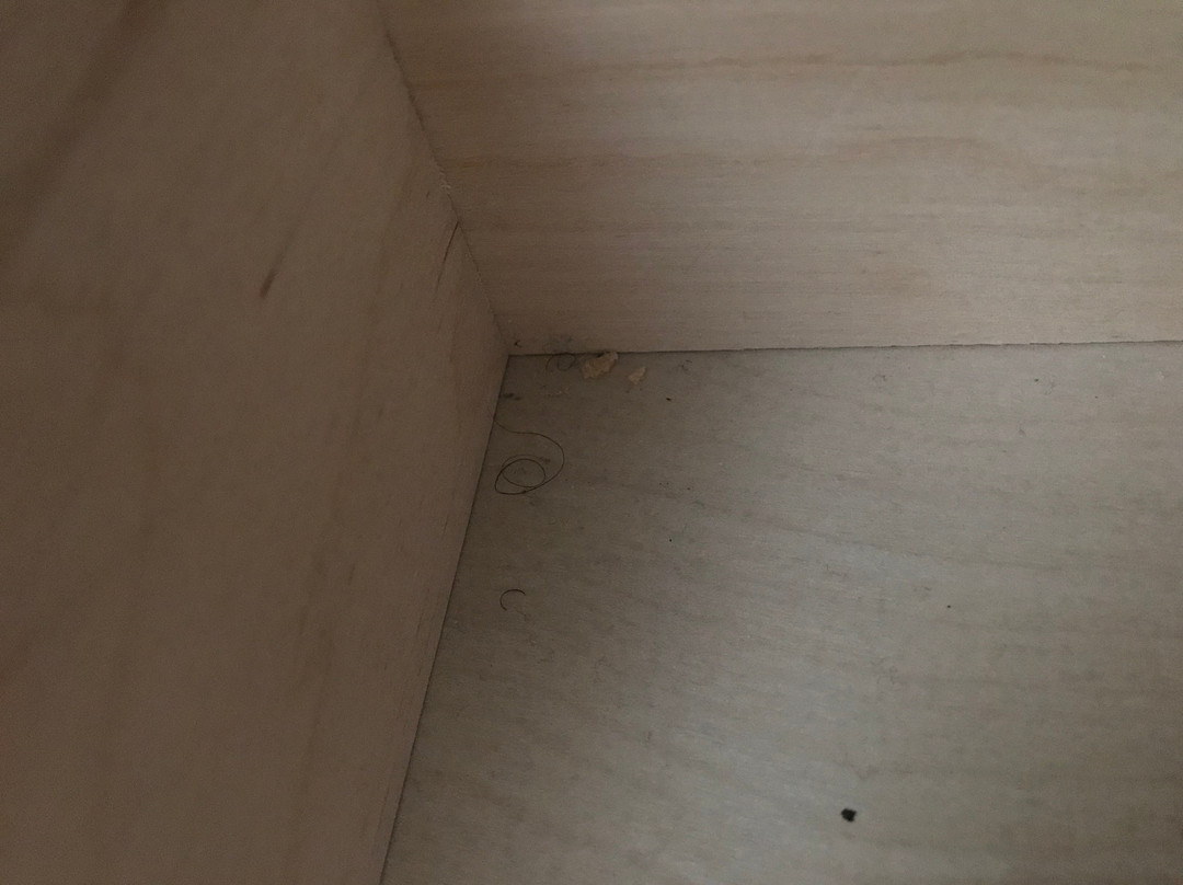 Comfort Inn & Suites near Stadium主图