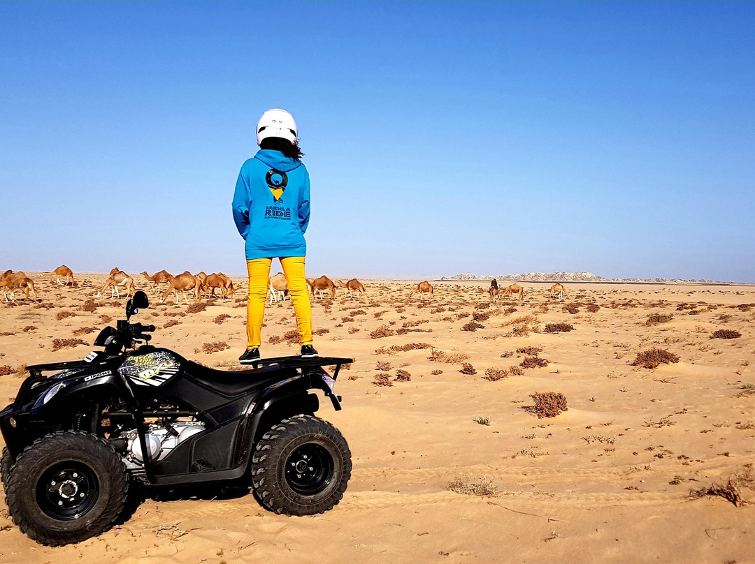 Dakhla Ride Adventures QUAD - BUGGY - Vintage Safari - Camel - Horse - Ebike-达赫拉必去景点