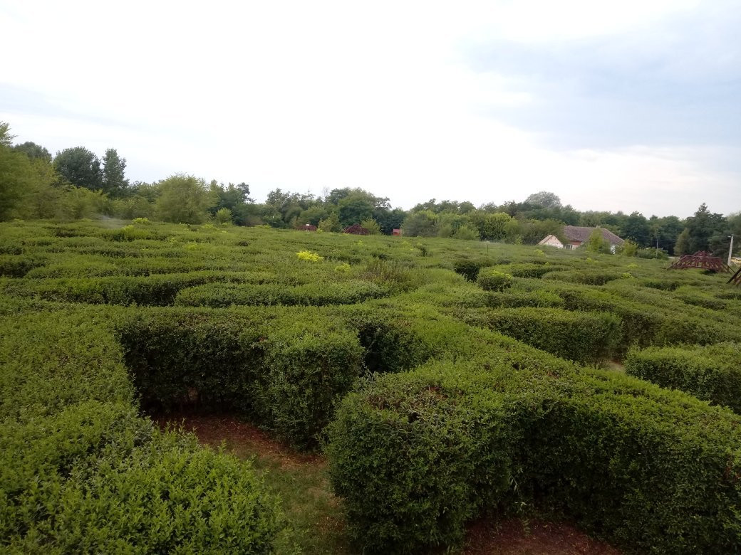Csillagösvény Labyrinth Ópusztaszer景点图片