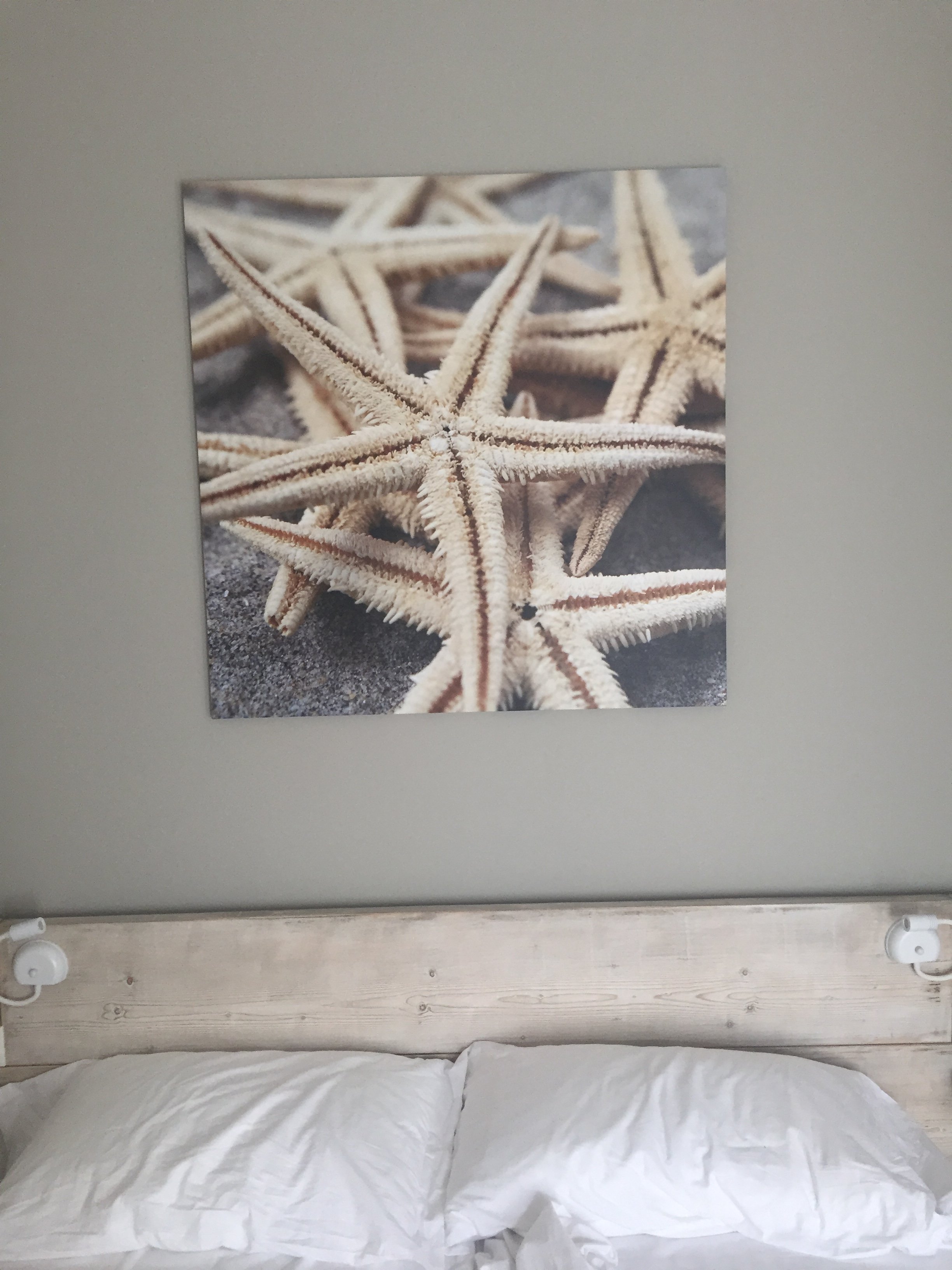 Hotel Carol-官方