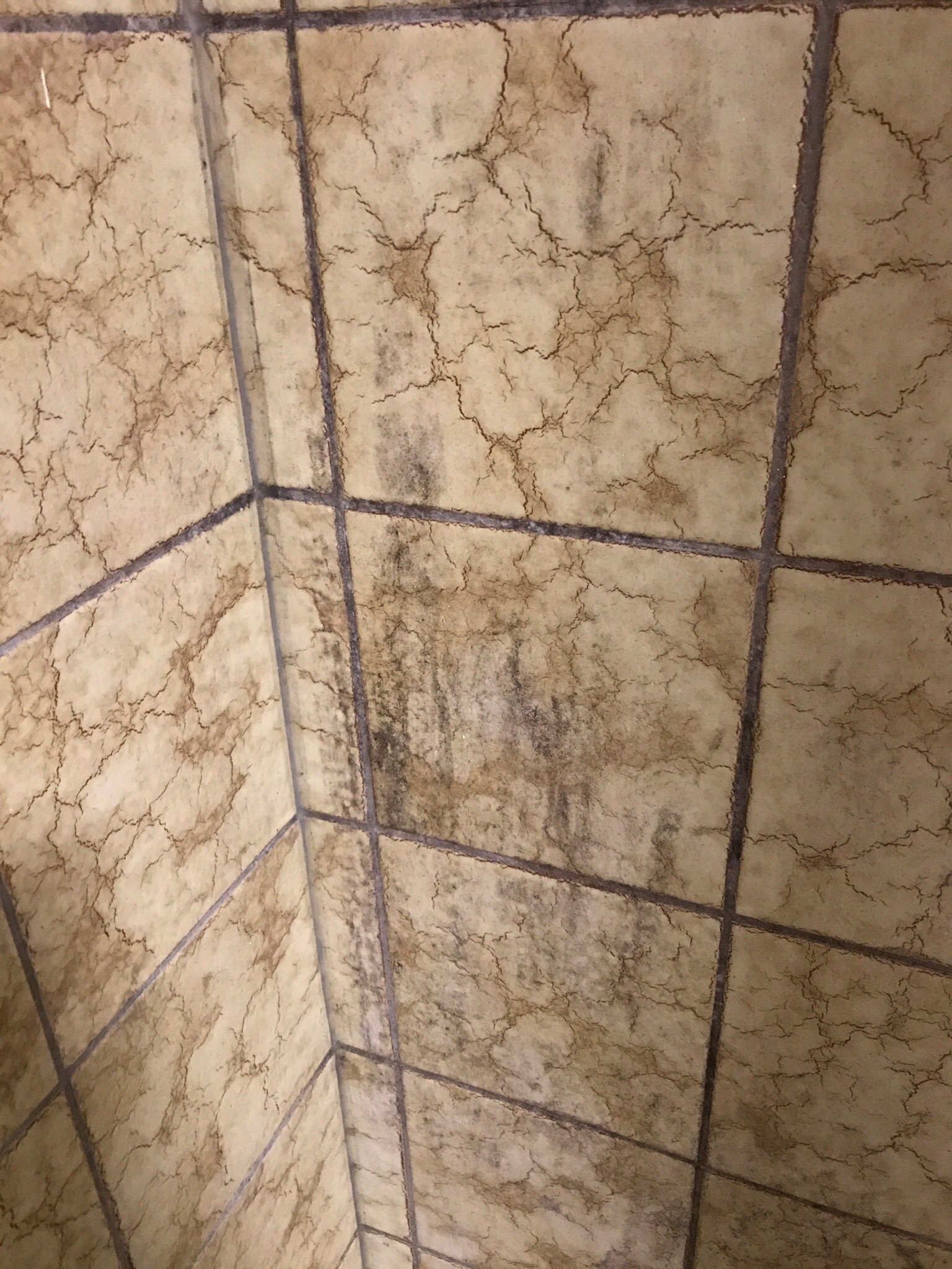 Hotel Twing-官方