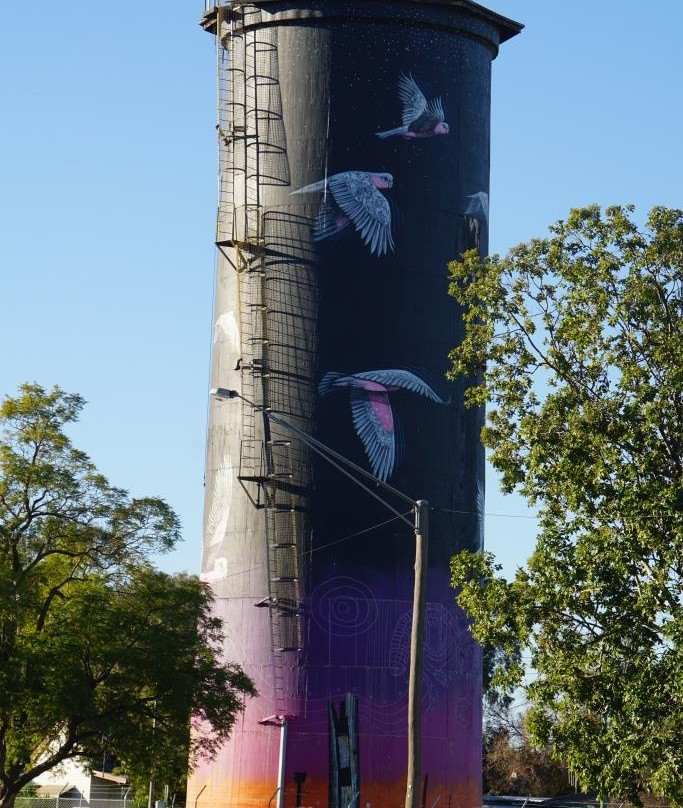Coonamble Water Tower-Coonamble必去景点