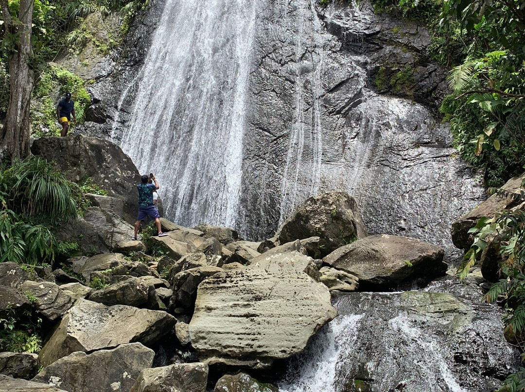 Louie's VIP Tours-云盖国家森林公园必去景点