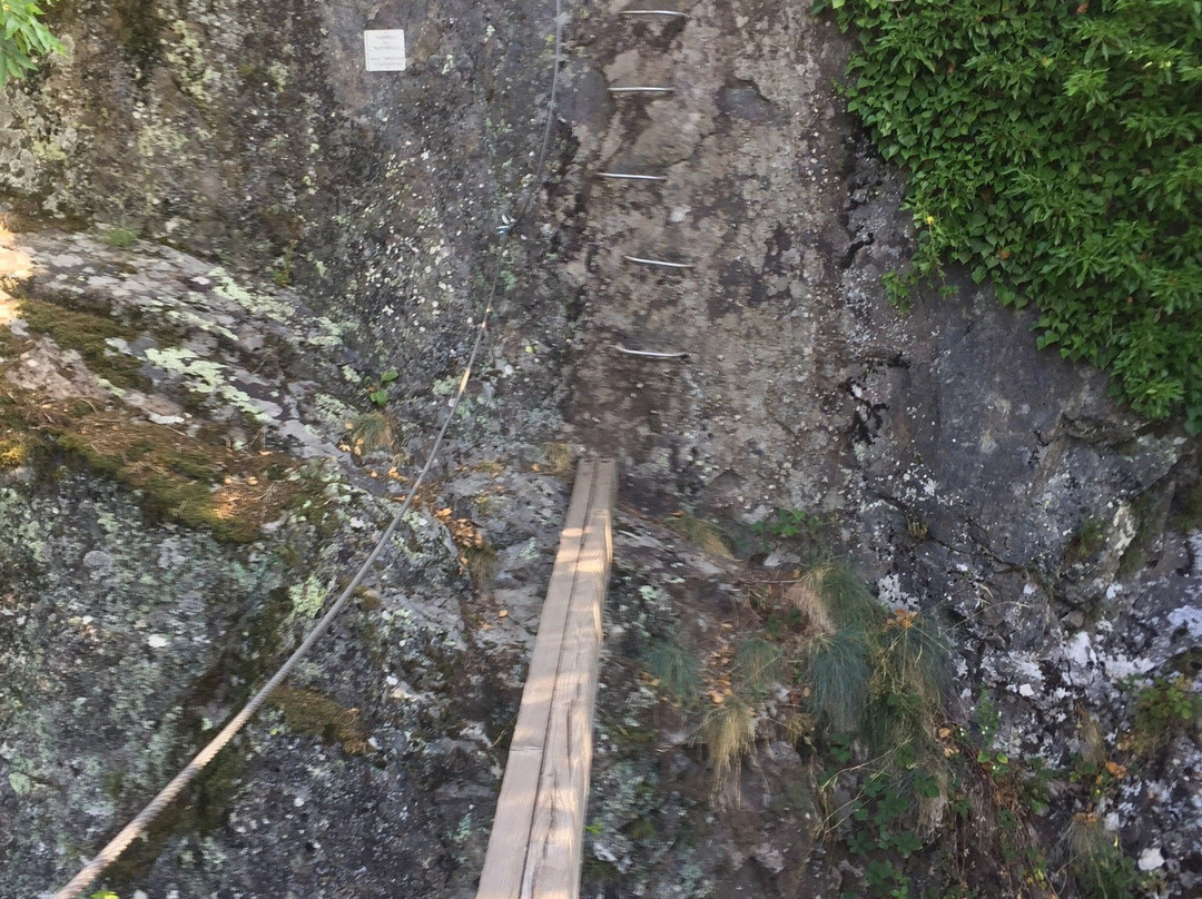 Rando Ferrata Source de la Moselle景点图片