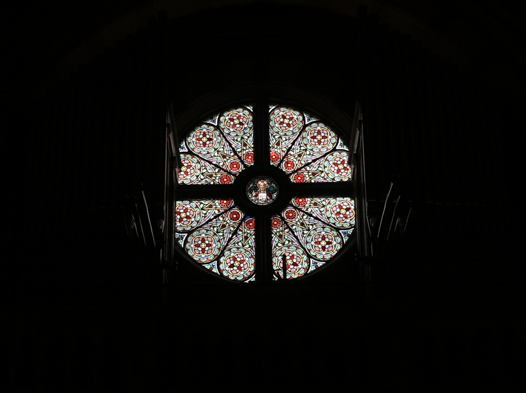 Catholic Cathedral (Katolska Domkyrkan)景点图片