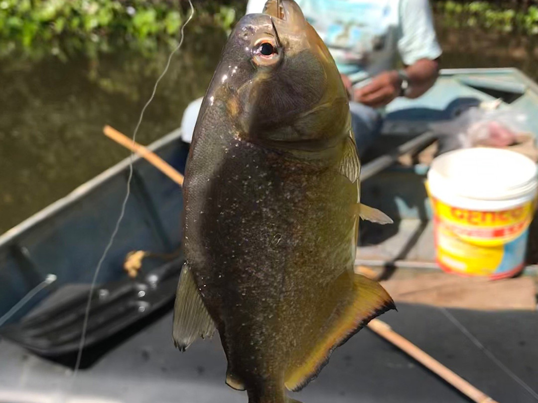 Pousada Canto do Arancua主图