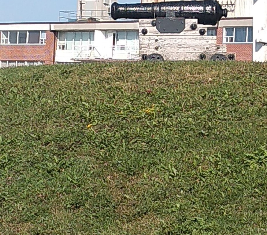 Fort Howe National Historic Site of Canada-圣约翰必去景点