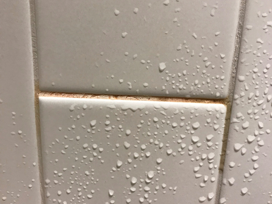 Hilton Garden Inn Buffalo Downtown主图