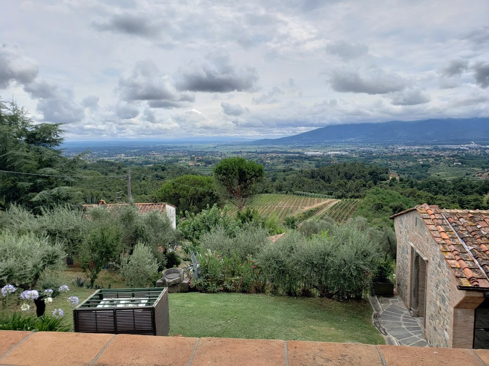 Fattoria Montechiari景点图片