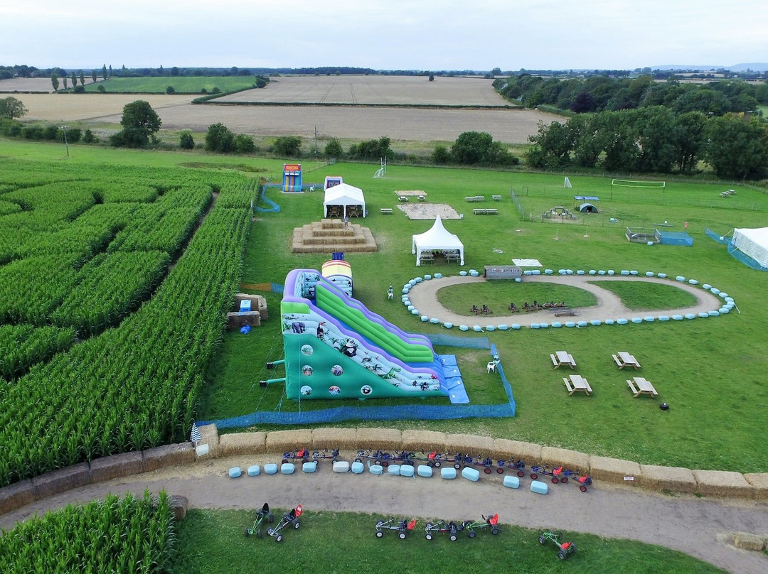 Easingwold Maize Maze景点图片