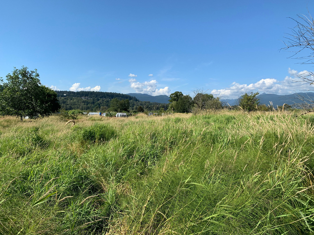 Colony Farm Regional Park-高贵林港必去景点