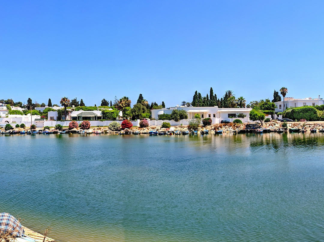 Punic Ports & Museum-迦太基必去景点