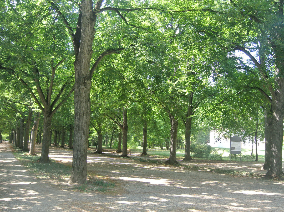 Erzsebet Park景点图片