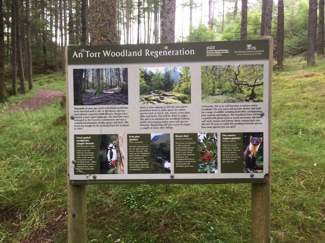 Glen Roy National Nature Reserve-Roybridge必去景点