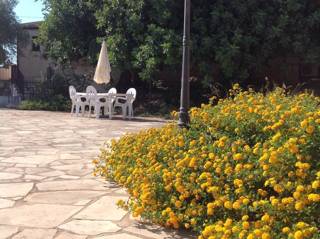 萨拉非奥利农家乐主图