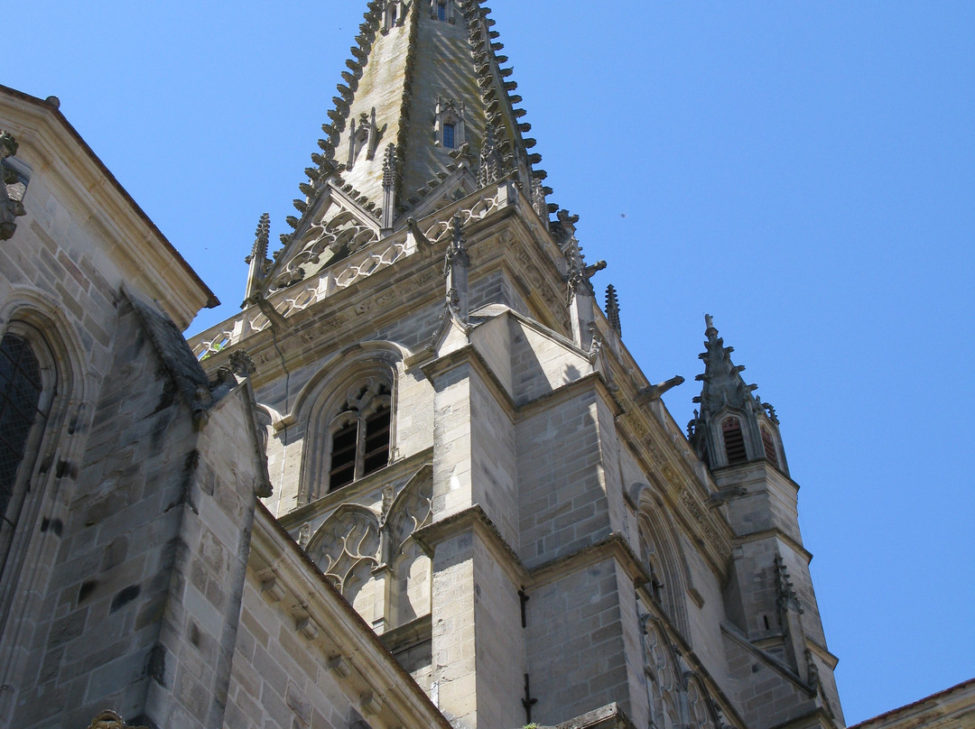 Cathédrale St-Lazare景点图片