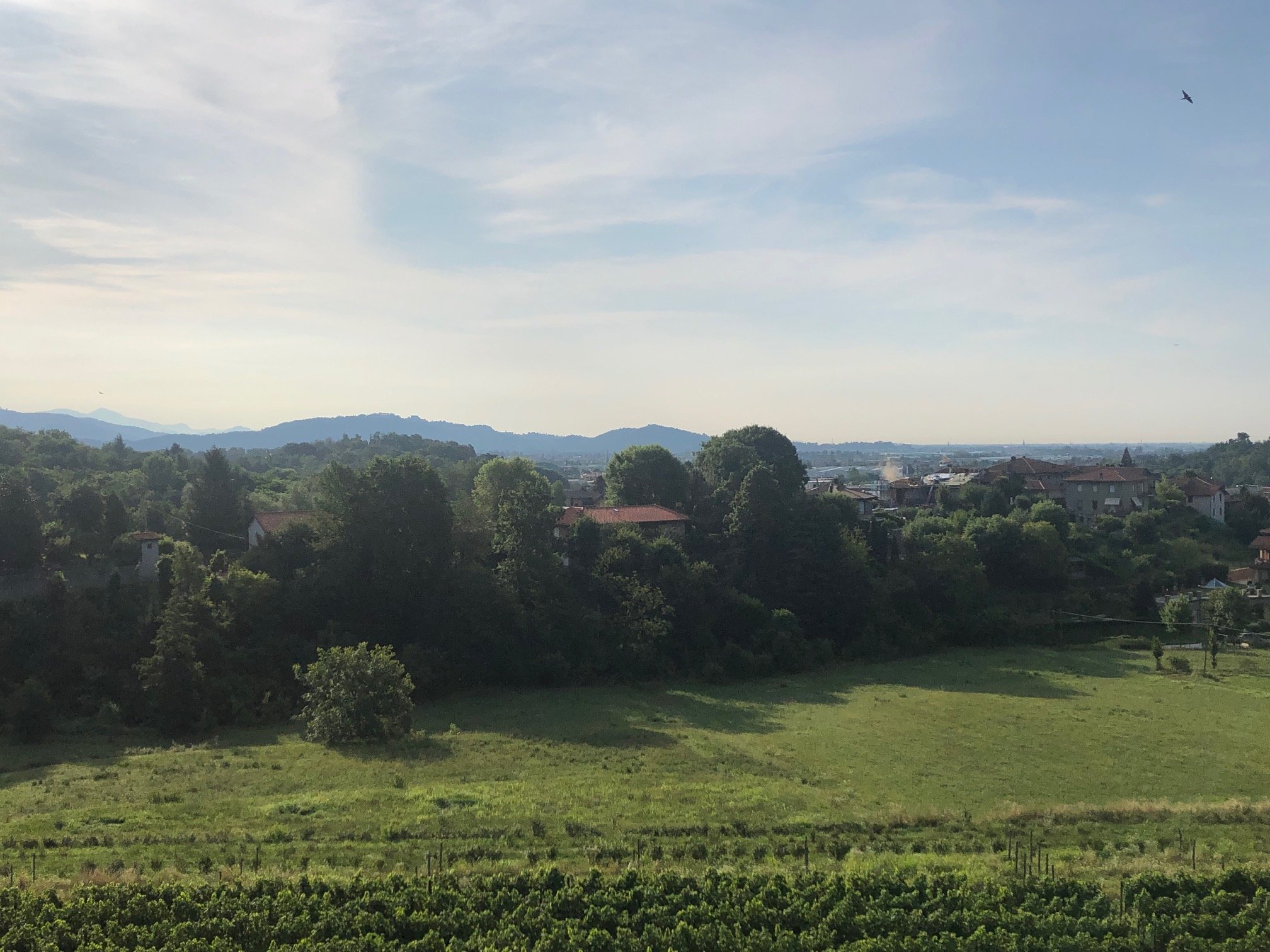 Agriturismo Il Belvedere-酒店景观