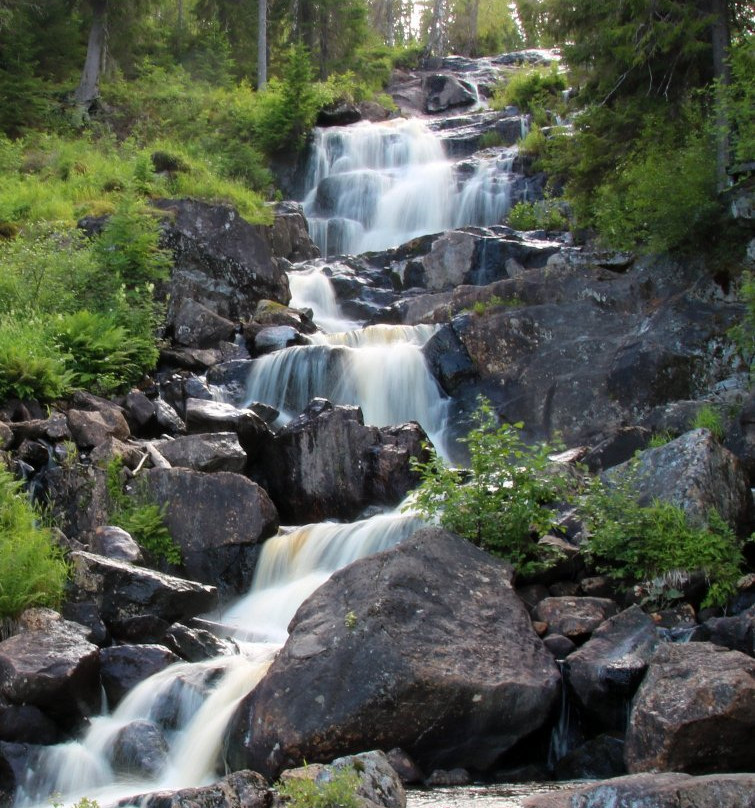 Västanåfallets Naturreservat景点图片