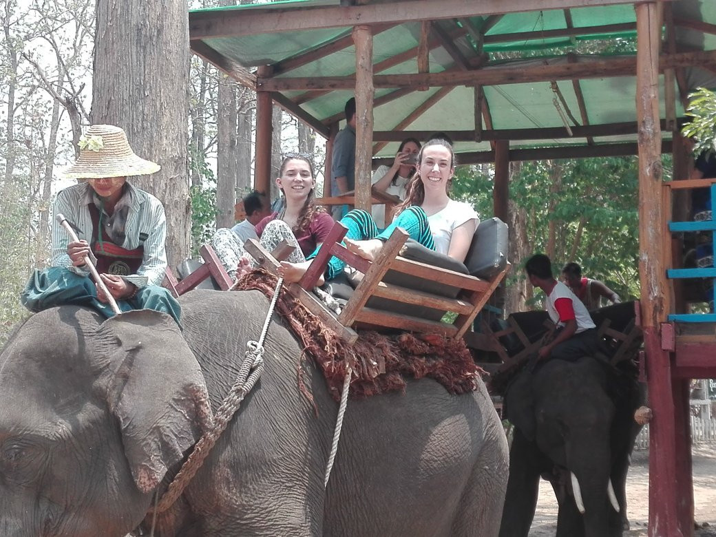 Pho Kyar Elephant Camp-Taungoo必去景点