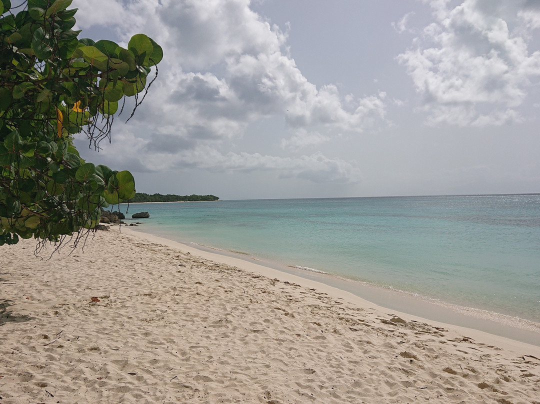 Anse Canot-Marie-Galante必去景点