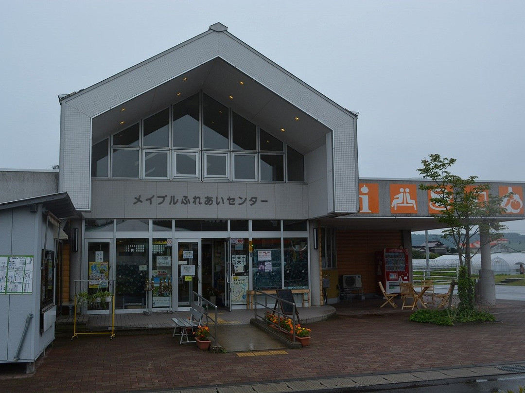 Michi-no-Eki Rokunohe景点图片